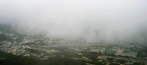 惠水擺榜梯田