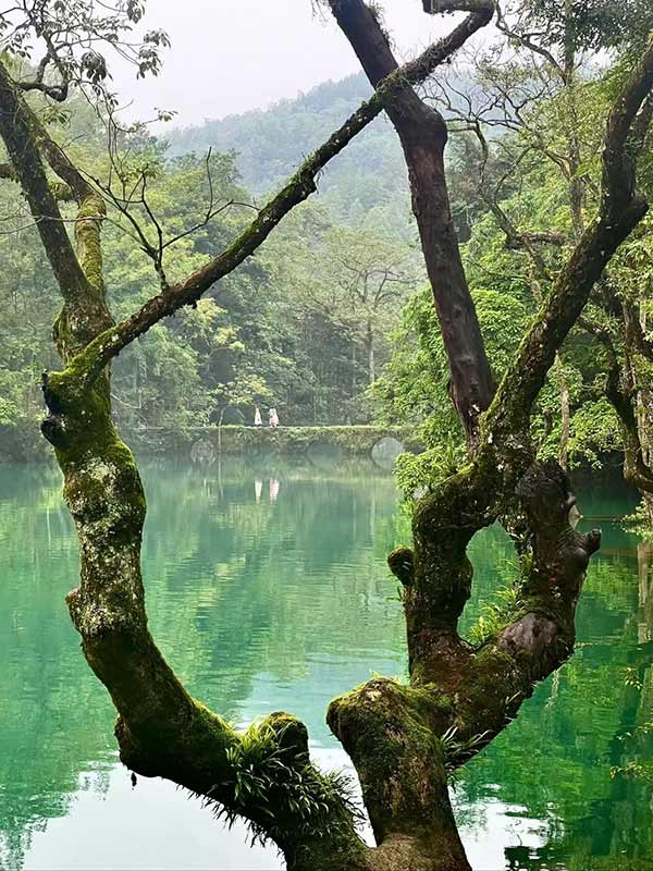 荔波小七孔風(fēng)景區