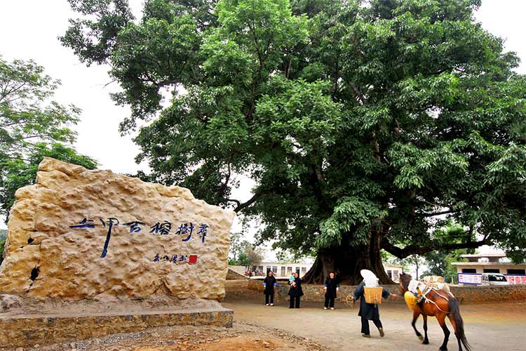 關(guān)嶺上甲布依古寨旅游景區