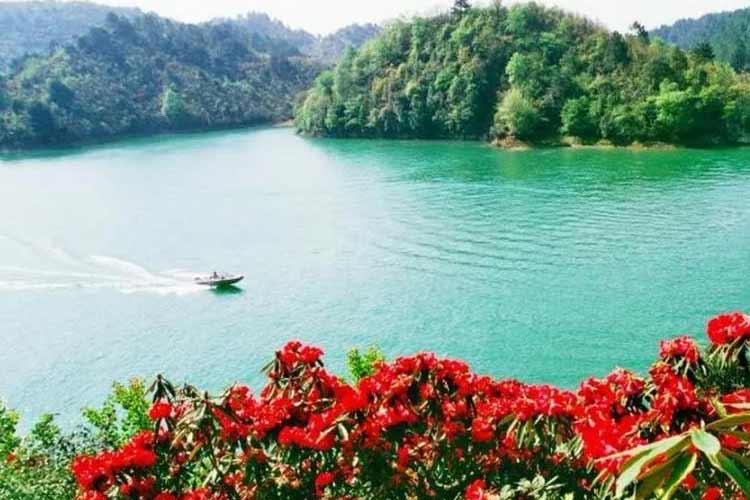 長(cháng)順杜鵑湖景區