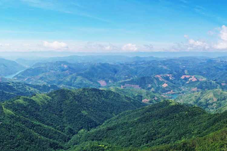 普晴林場(chǎng)森林旅游區