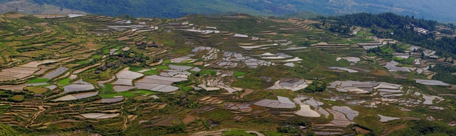 惠水擺榜梯田