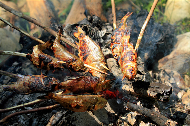 從江燒田魚(yú)